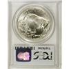 Image 2 : 2001-D $1 Buffalo Silver Dollar MS69 PCGS. PCGS Po