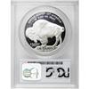 Image 2 : 2001-P $1 Buffalo PR69 Deep Cameo PCGS. PCGS Popul