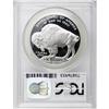 Image 2 : 2001-P $1 Buffalo PR69 Deep Cameo PCGS. PCGS Popul