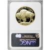 Image 2 : 2006-W $50 Buffalo One-Ounce Gold PR70 Deep Cameo NGC.