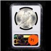 Image 3 : NGC 1922-p Peace Dollar $1 Graded ms65 By NGC