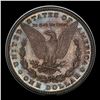 Image 3 : Proof ***Auction Highlight*** PCGS 1884 Morgan Dollar $1 Graded pr64 By PCGS (fc)