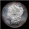 Image 2 : 1879-s Morgan Dollar $1 Grades Select Unc+ PL