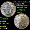 Image 1 : 1880-s Colorfully Toned Morgan Dollar $1 Grades Choice+ Unc