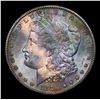 Image 2 : 1879-s Morgan Dollar $1 Grades GEM+ Unc