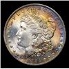Image 2 : 1884-o Rainbow Toned Morgan Dollar $1 Grades Choice+ Unc