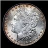 Image 2 : 1896/6-p vam 6 I3 R4 Morgan Dollar $1 Grades Choice+ Unc