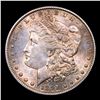 Image 2 : 1891-s Morgan Dollar $1 Grades Select+ Unc