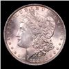 Image 2 : ***Auction Highlight*** 1880-p Morgan Dollar $1 Graded ms65 By SEGS (fc)