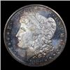 Image 2 : ***Auction Highlight*** 1881-s Morgan Dollar $1 Graded ms65+ DMPL By SEGS (fc)