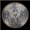 Image 3 : *HIGHLIGHT OF THE NIGHT* 1884-s Morgan Dollar $1 Graded Select Unc By USCG (fc)