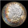 Image 2 : 1887-p Rainbow Toned Morgan Dollar $1 Grades Choice+ Unc
