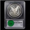 Image 5 : *HIGHLUGHT OF THE YEAR* 1884-p Finest Known! Morgan Dollar $1 Graded ms66+ dmpl By SEGS (fc)