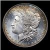 Image 2 : 1885-p Morgan Dollar $1 Grades Select Unc+ PL