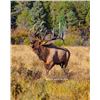 Image 1 : Utah Bull Elk - Southwest Desert, South - Muzzleloader - Conservation Permit
