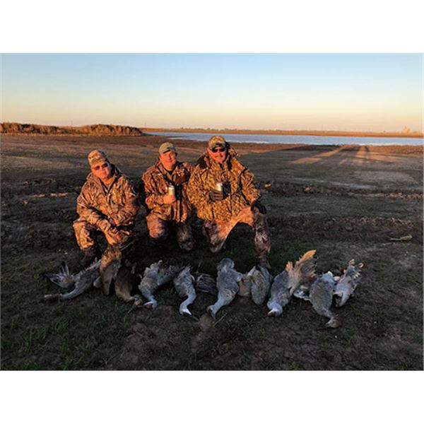 Texas Panhandle Sand Hill Crane hunt for 2 over 3 days
