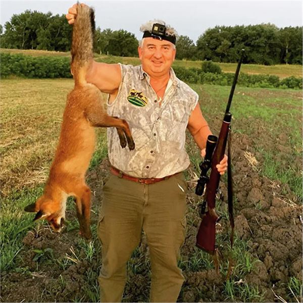 Serbian Red Fox & Golden Jackal – Hunt and Tour Serbia