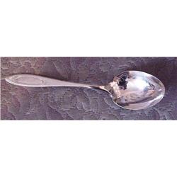 Community  Sugar Spoon ADAM #1607696