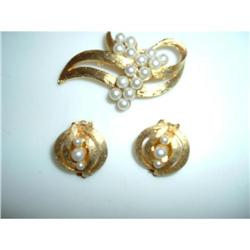 Beautiful Goldtone Pin and Earring Set #1608044