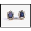 Image 1 : 18K Yellow Gold Opal and Diamond Earrings. #1609096