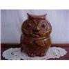 Image 1 : McCoy Owl Cookie Jar #1611014