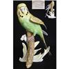 Image 1 : Goebel Model of a Budgerigar #1618961