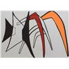 Image 2 : Alexander Calder- Lithograph "DLM141 - Tamanoir jaune"