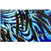Image 2 : Vera V. Goncharenko- Original Oil on Canvas "In the Water"