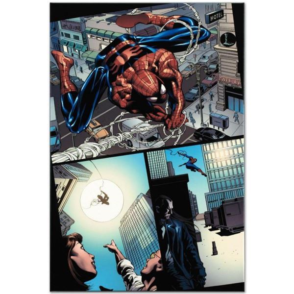 Marvel Comics  Amazing Spider-Man #526  Numbered Limited Edition Giclee on Canvas by Mike Deodato Jr