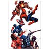 Image 1 : Marvel Comics "Marvel Knights Spider-Man #2" Numbered Limited Edition Giclee on Canvas by Terry Dods