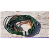 Image 1 : Lot of Extension Cords
