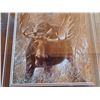 Image 2 : The Challenge Bull Moose Print By Robert Bateman 19-1/2"x19-1/2"