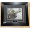 Image 3 : Bull Moose Print By Robert Bateman 19-1/2"x17"