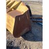 Image 4 : Loader Bucket Cat 9' 6" W X 4' 6" H X 36" D