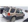 Image 15 : 2007, FORD ESCAPE XLT V6 4WD 1FMYU93147KA17281 (NO KEYS)