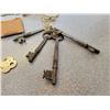 Image 3 : lot of skeleton keys