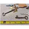 Image 4 : lot of skeleton keys