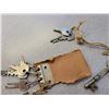 Image 5 : lot of skeleton keys