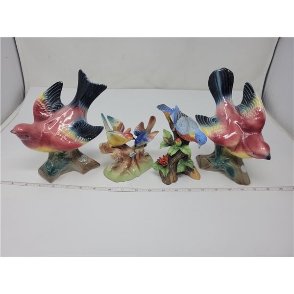 4 birds, 2 Royal Copely