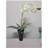 Image 1 : Decorative orchid in pot (not alive)