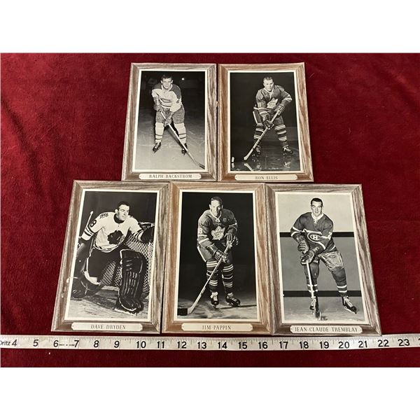 1964-1967 (5) Woodgrain Border Bee-Hive