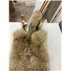Image 4 : Coyote pelt - approx. 55" long