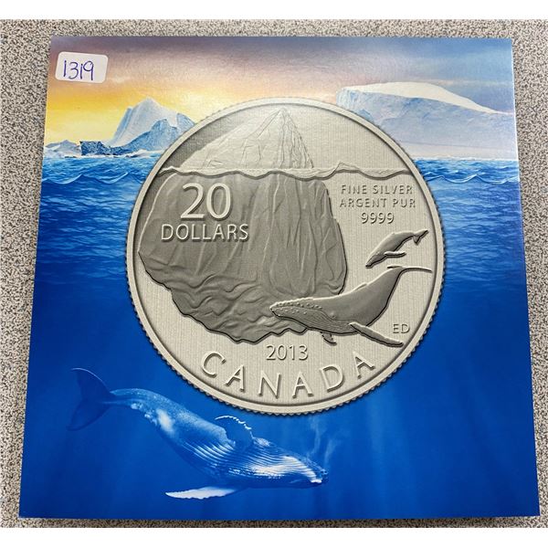 Sterling Silver Ice Berg Coin