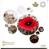 Image 1 : 2015 Royal Canadian Mint Rememberance coin set