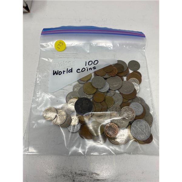 one bag of 100 world coins