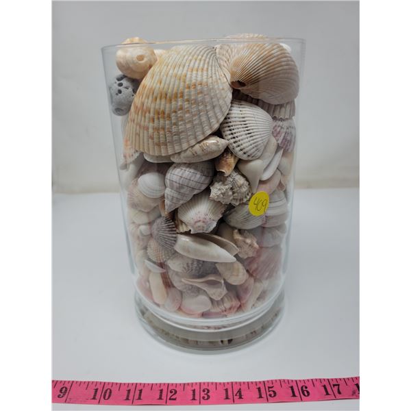 Handblown glass vase, 9.5" tall. Justyna, Poland. Seashells from Sanibel Island, Florida.