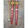 Image 3 : cross country skis Fischer Austria 51"L