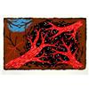 Image 1 : Signed High Quality Limited Edition Silkscreen #1611342