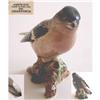 Image 1 : Beswick Model of a Chaffinch on a Branch #1631297