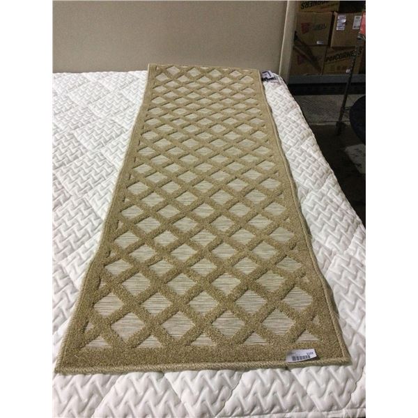 Accent Rug (24in x 72in)